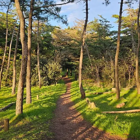 펜션 Maison T2 Wifi Parking Prive D'olonne 9mn A Pied Presidents Les Sables-dʼOlonne