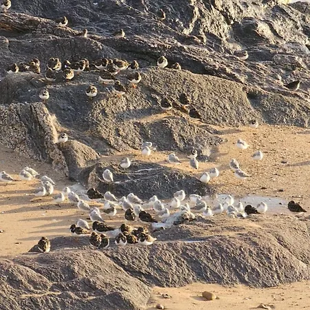 Maison T2 Wifi Parking Prive D'olonne 9mn A Pied Presidents * Les Sables-dʼOlonne