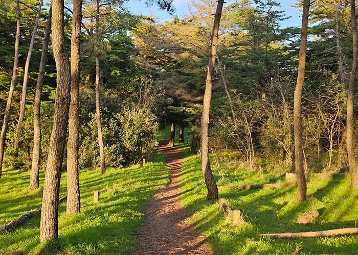 בית נופש Maison T2 Wifi Parking Prive D'olonne 9mn A Pied Presidents Les Sables-dʼOlonne